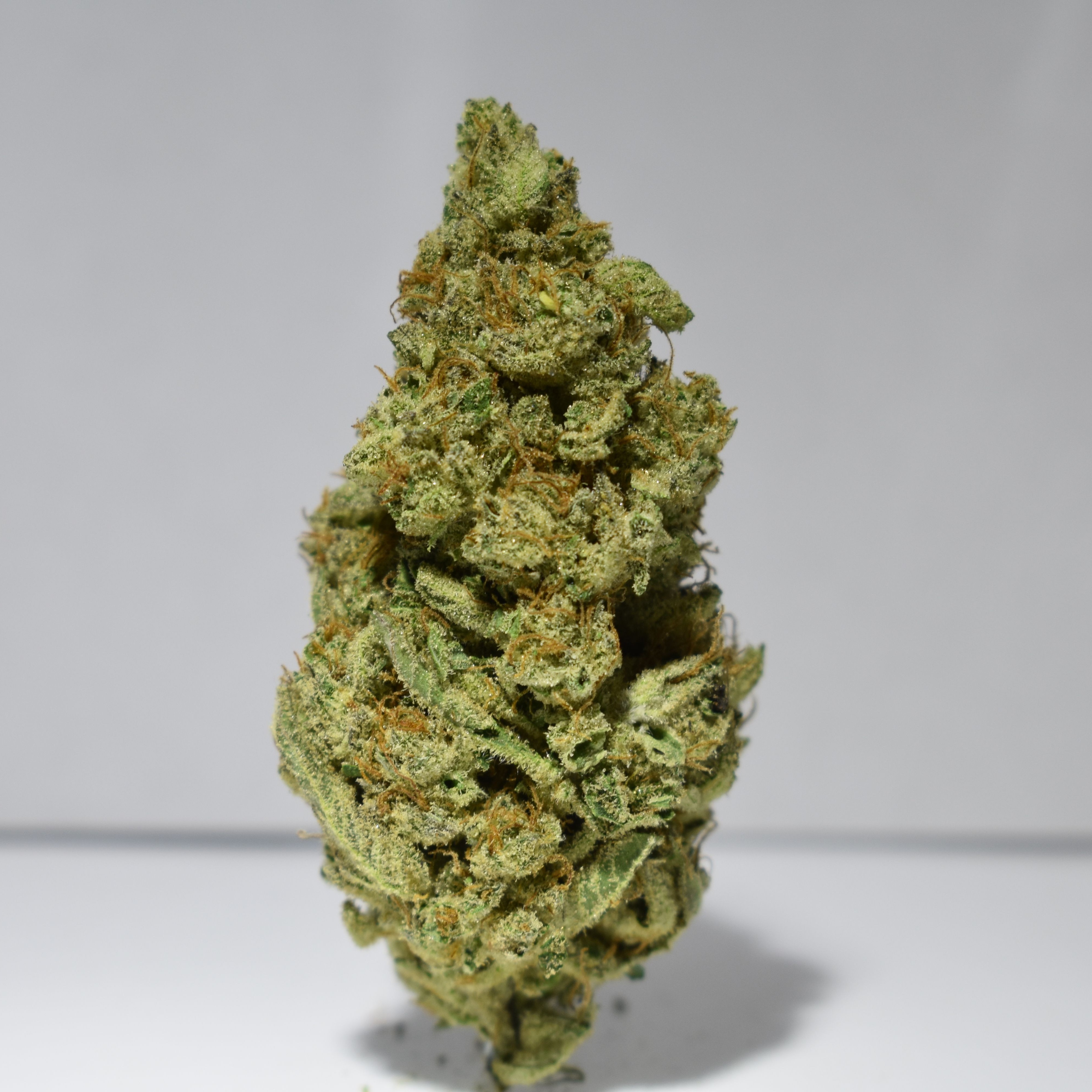 Electric Lemon Leafly